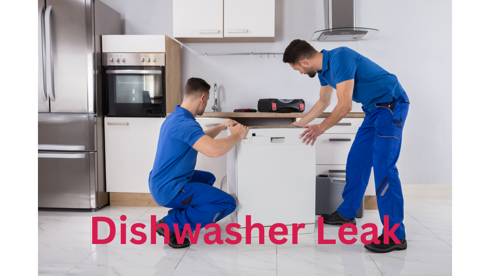 Two technicians checking the Leaking Dishwasher